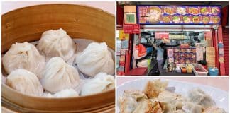 Zhang Ji Shanghai La Mian Xiao Long Bao 00